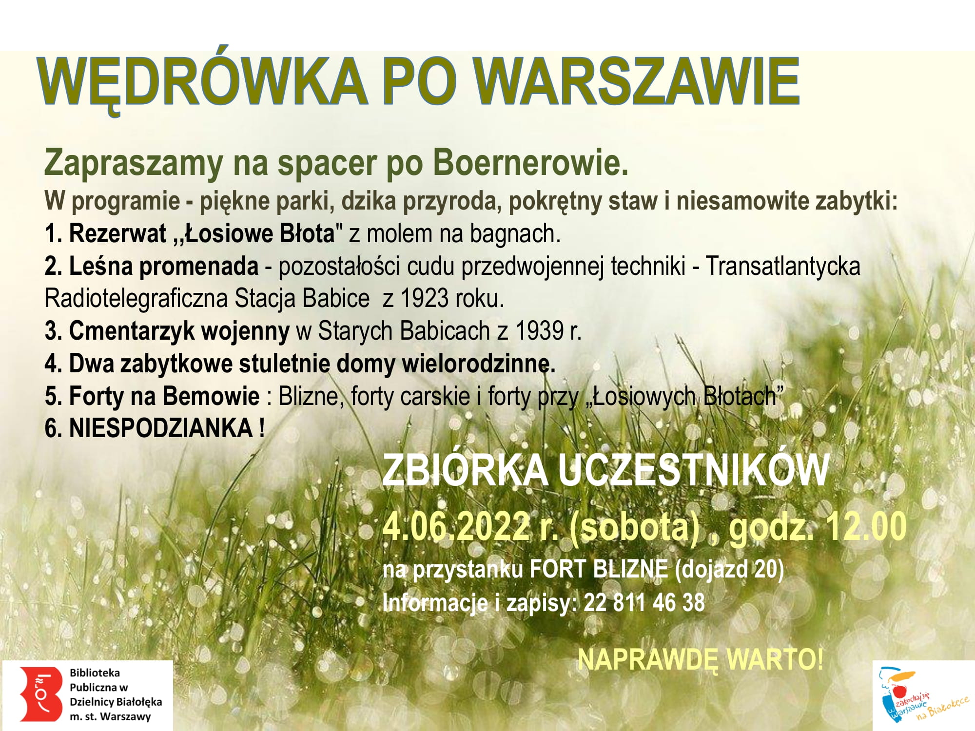 Read more about the article Wypożyczalnia Nr 46 zaprasza