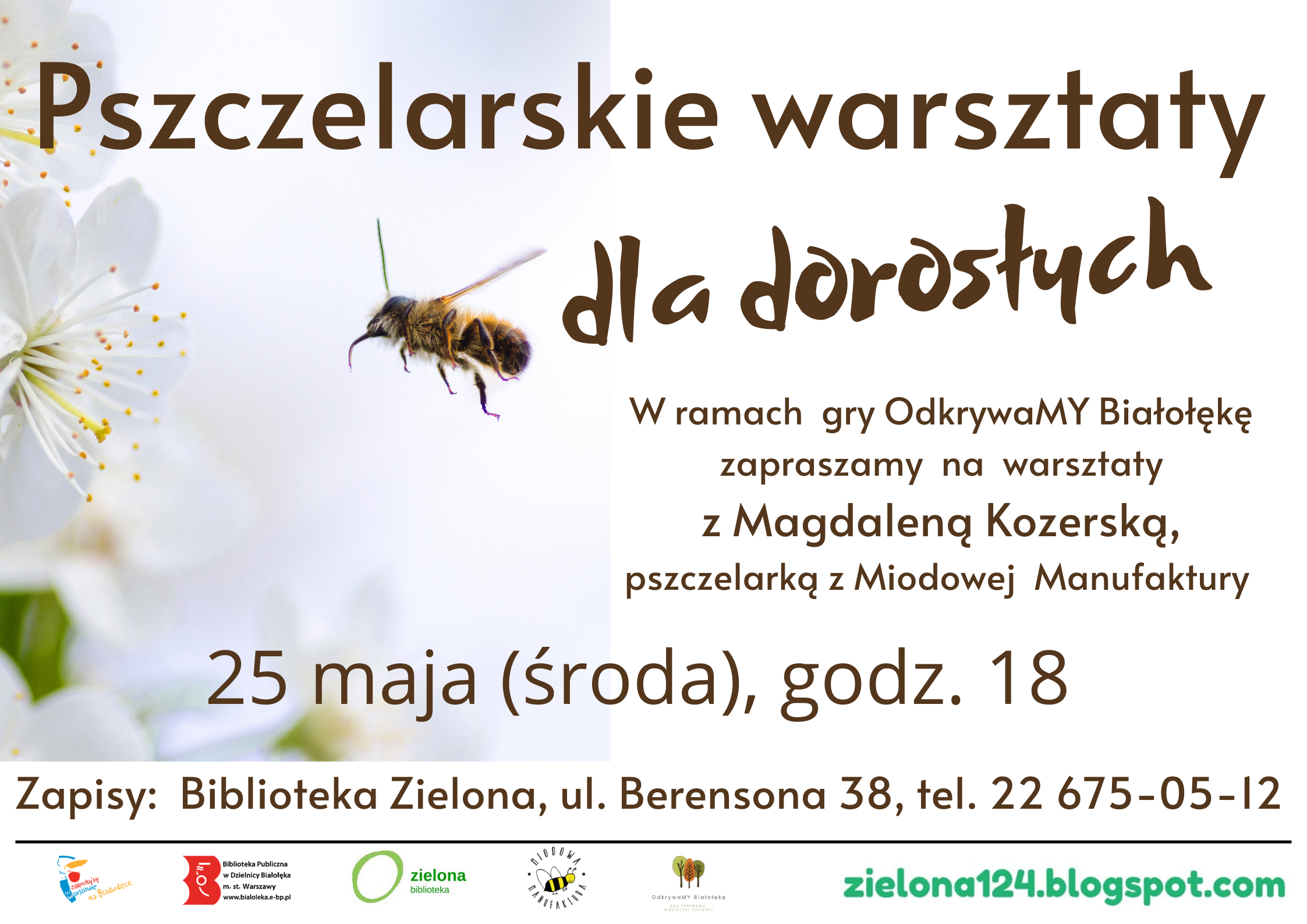 Read more about the article Wyjątkowe  warsztaty dla dorosłych w Bibliotece Zielonej!