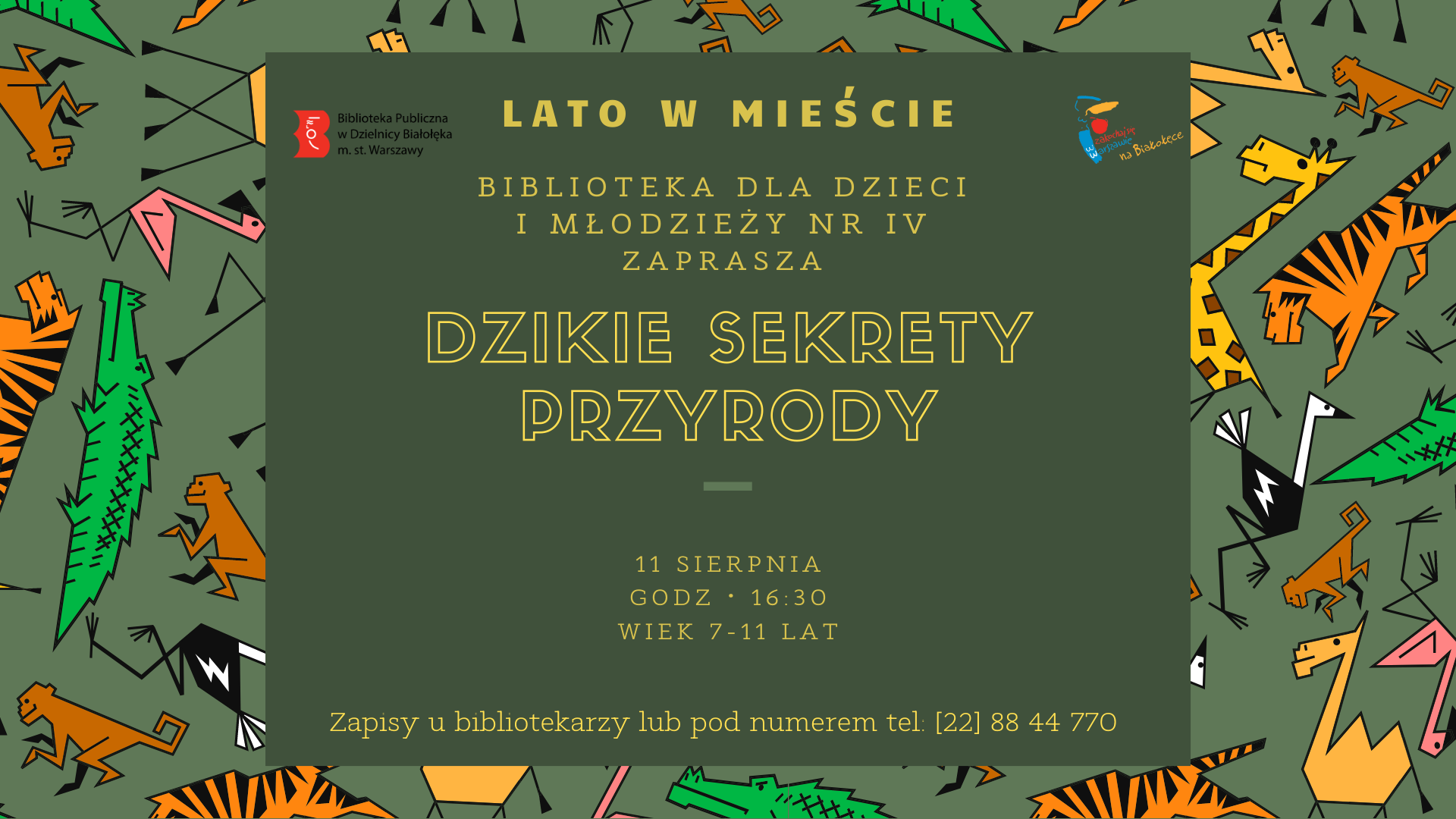 Read more about the article Lato w mieście w  BD IV. Dzikie sekrety przyrody.