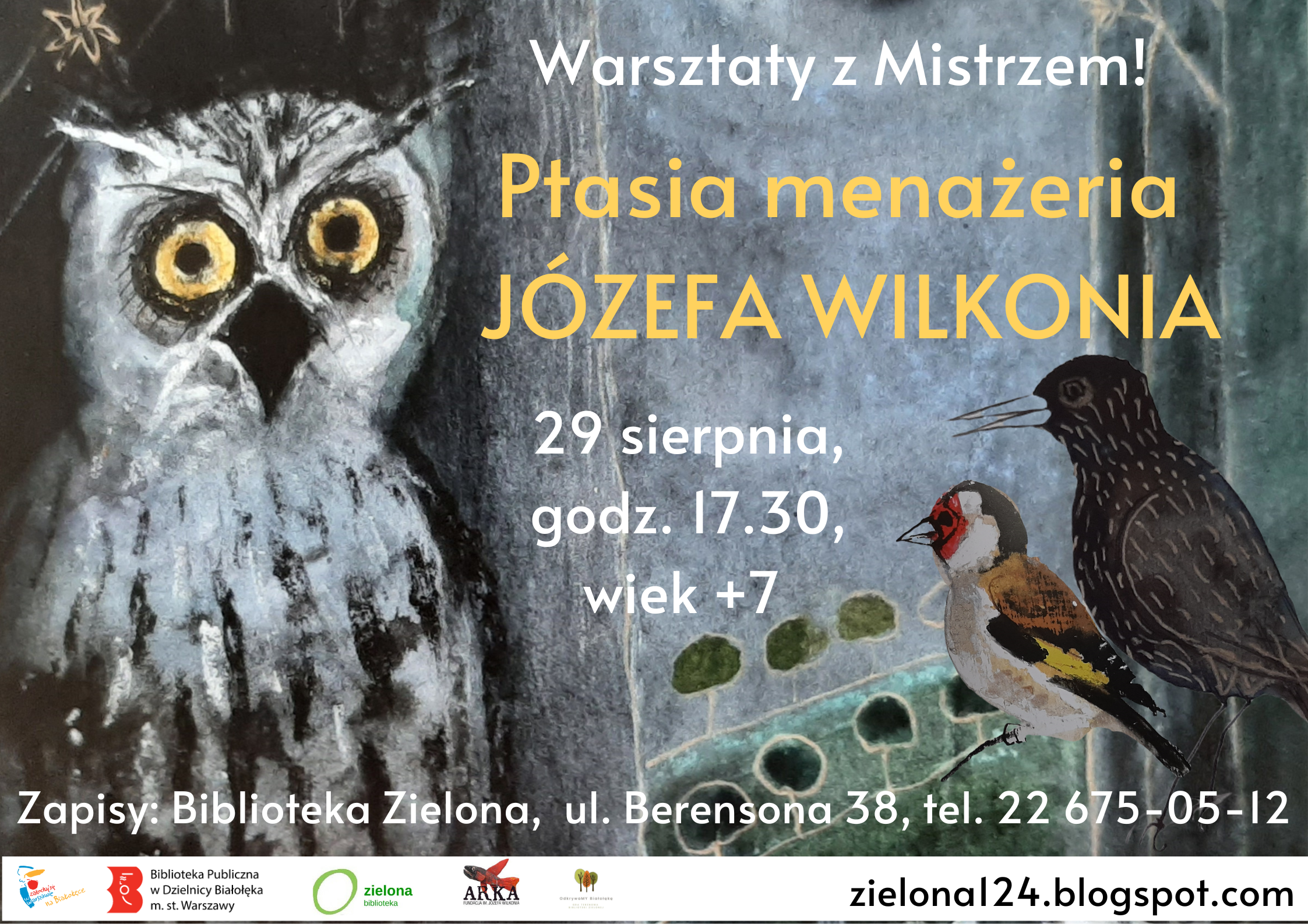Read more about the article Wilkoń w Zielonej