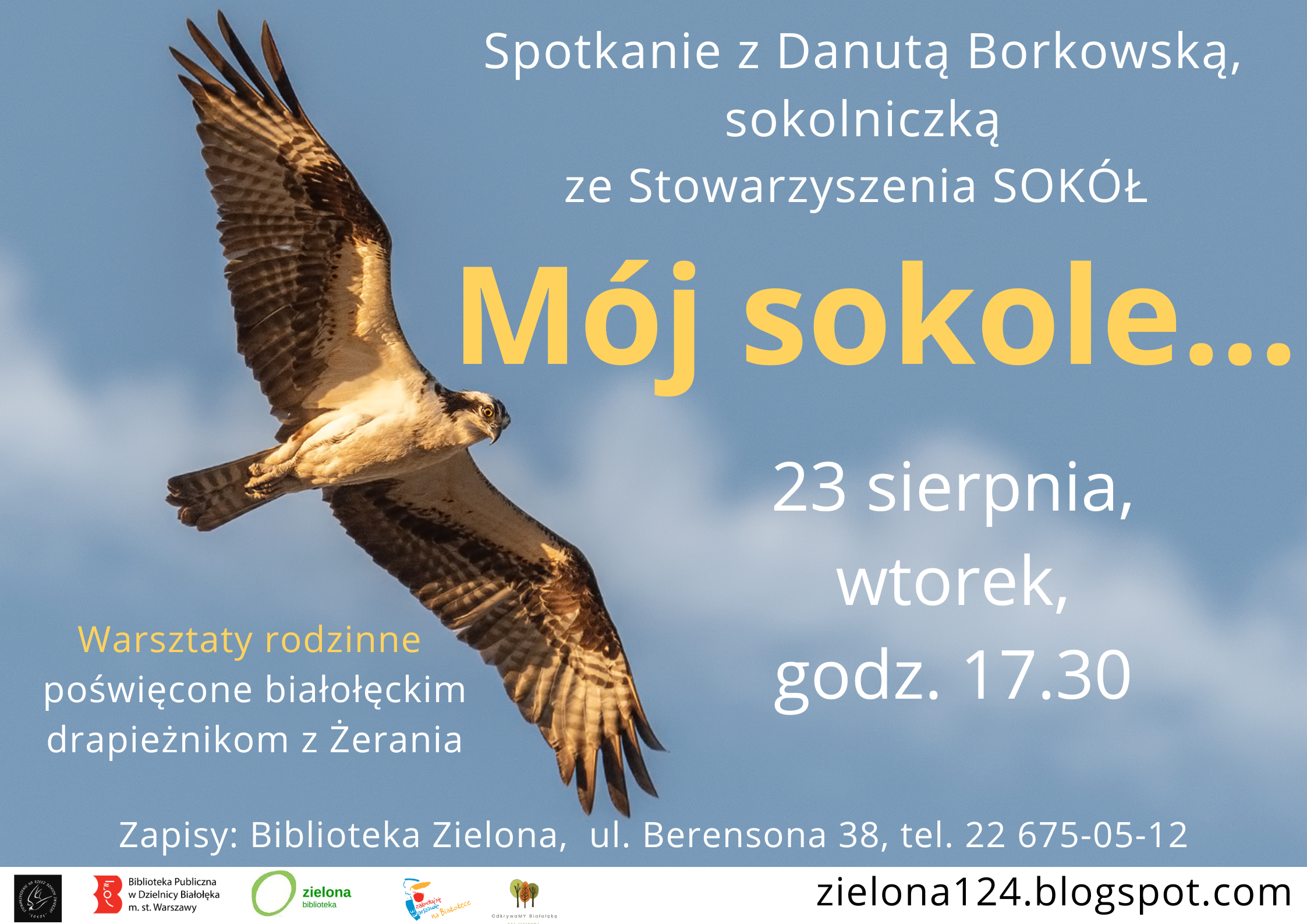 Read more about the article Spotkanie z sokolniczką w Zielonej