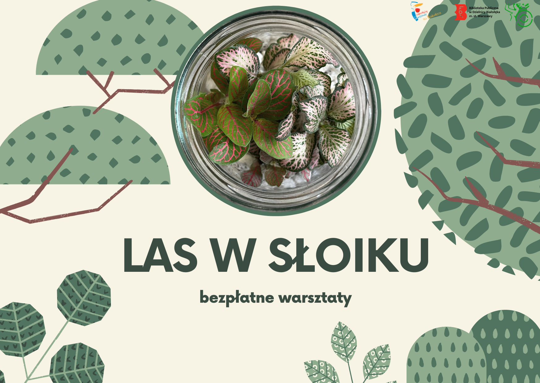 Read more about the article Warsztaty w Czytelni „Las w słoiku”