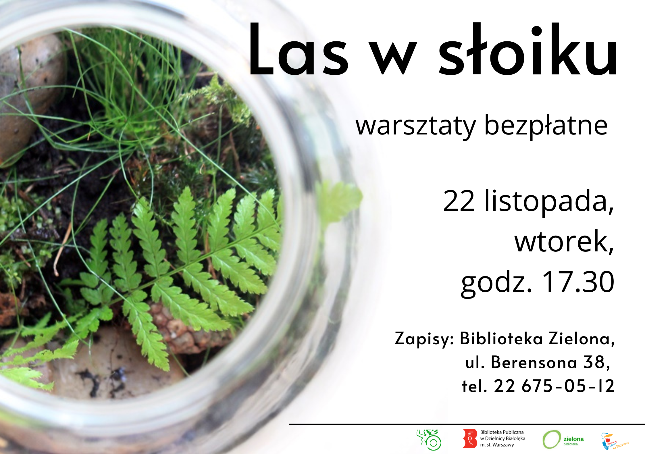Read more about the article Warsztaty Las w słoiku w Zielonej Bibliotece.