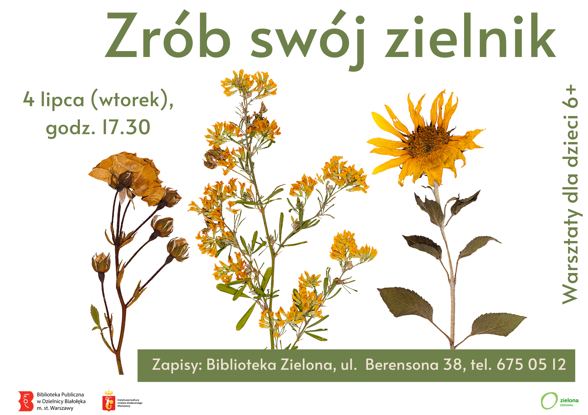 Read more about the article Zrób swój zielnik
