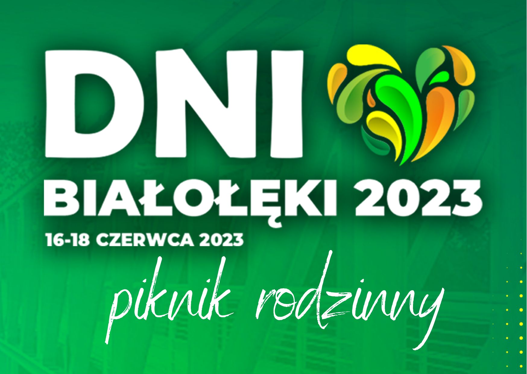 Read more about the article Dni Białołęki