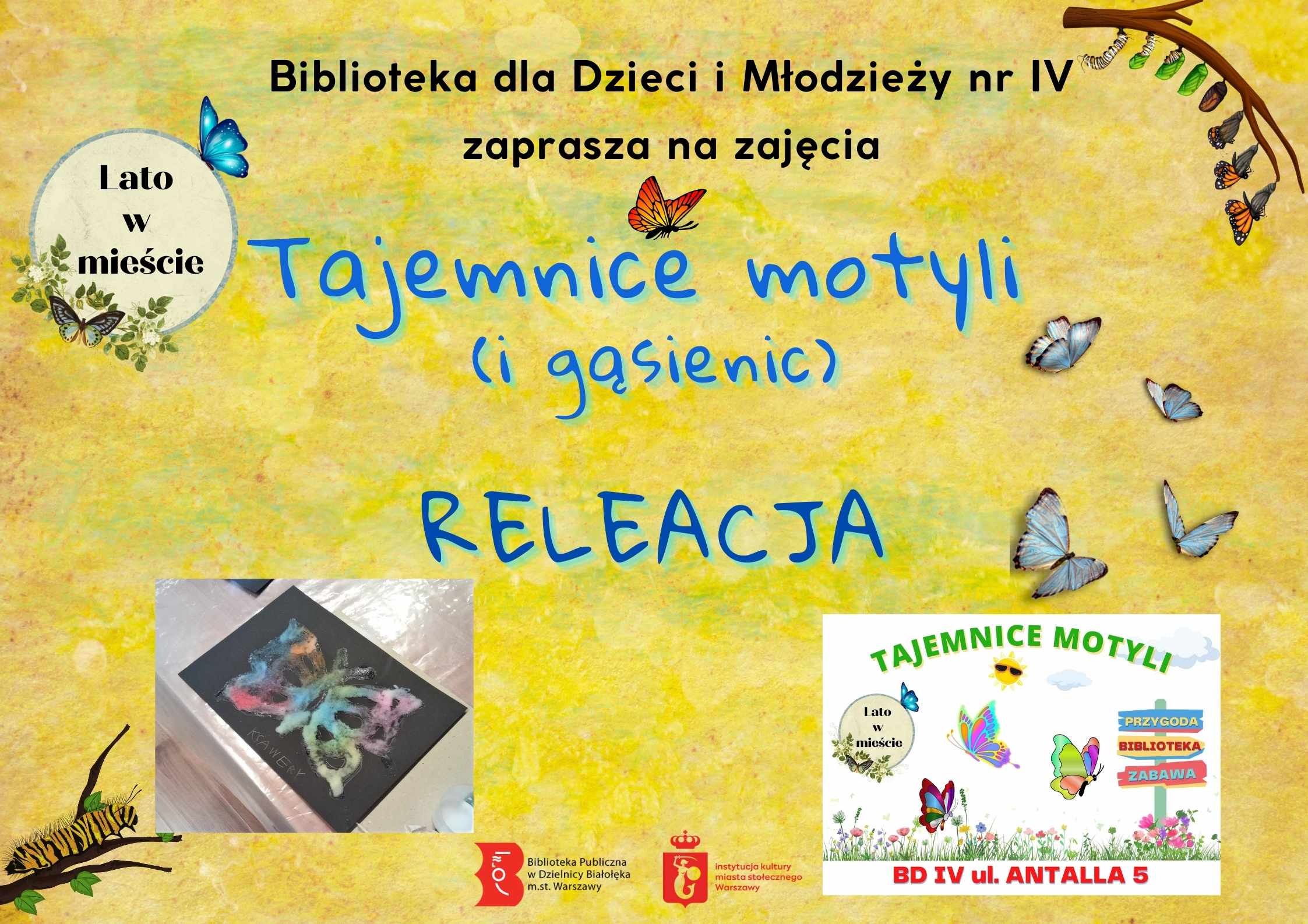 Read more about the article Tajemnice motyli – RELACJA
