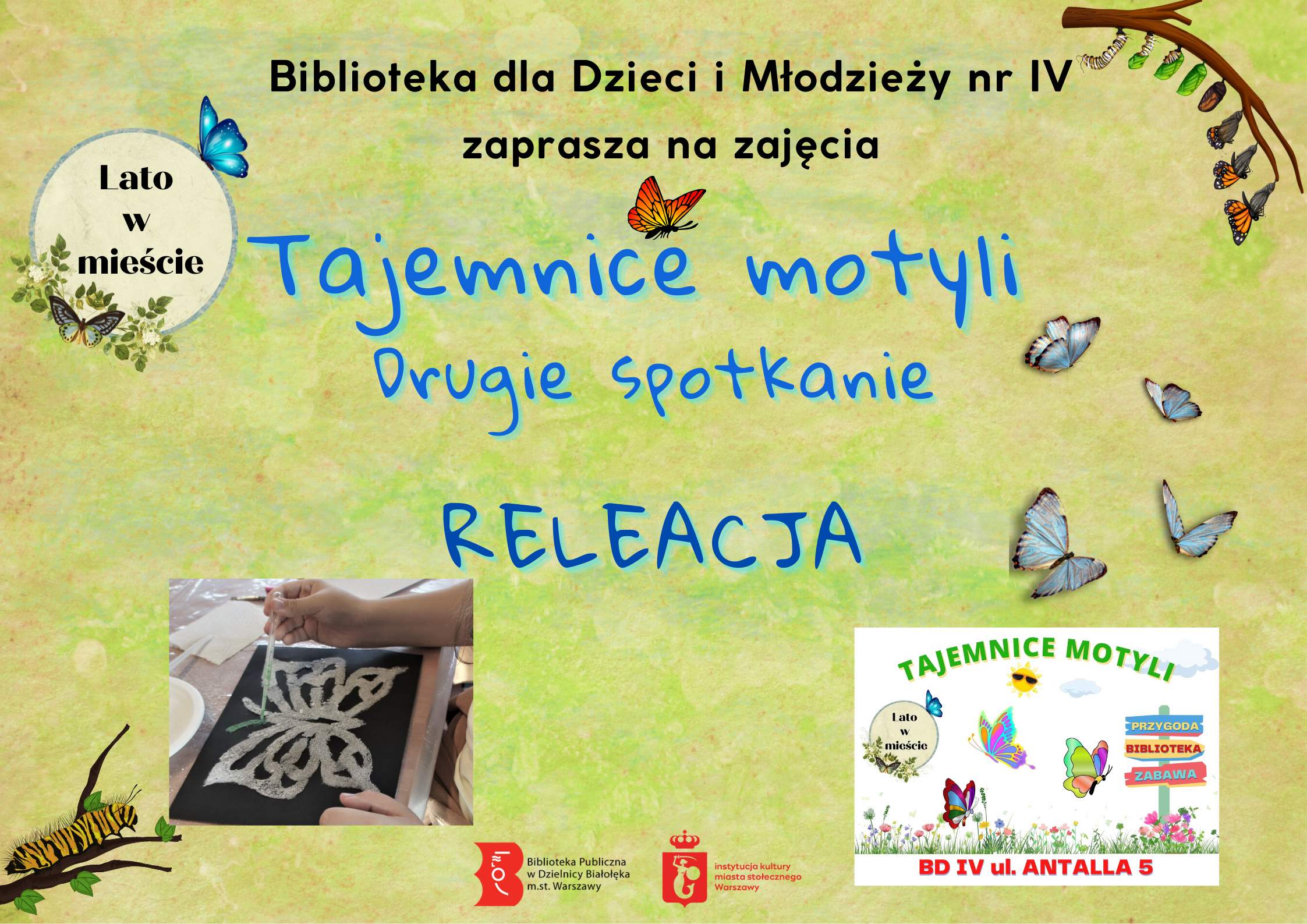 Read more about the article Tajemnice motyli – relacja z sierpniowych zajęć w BD IV