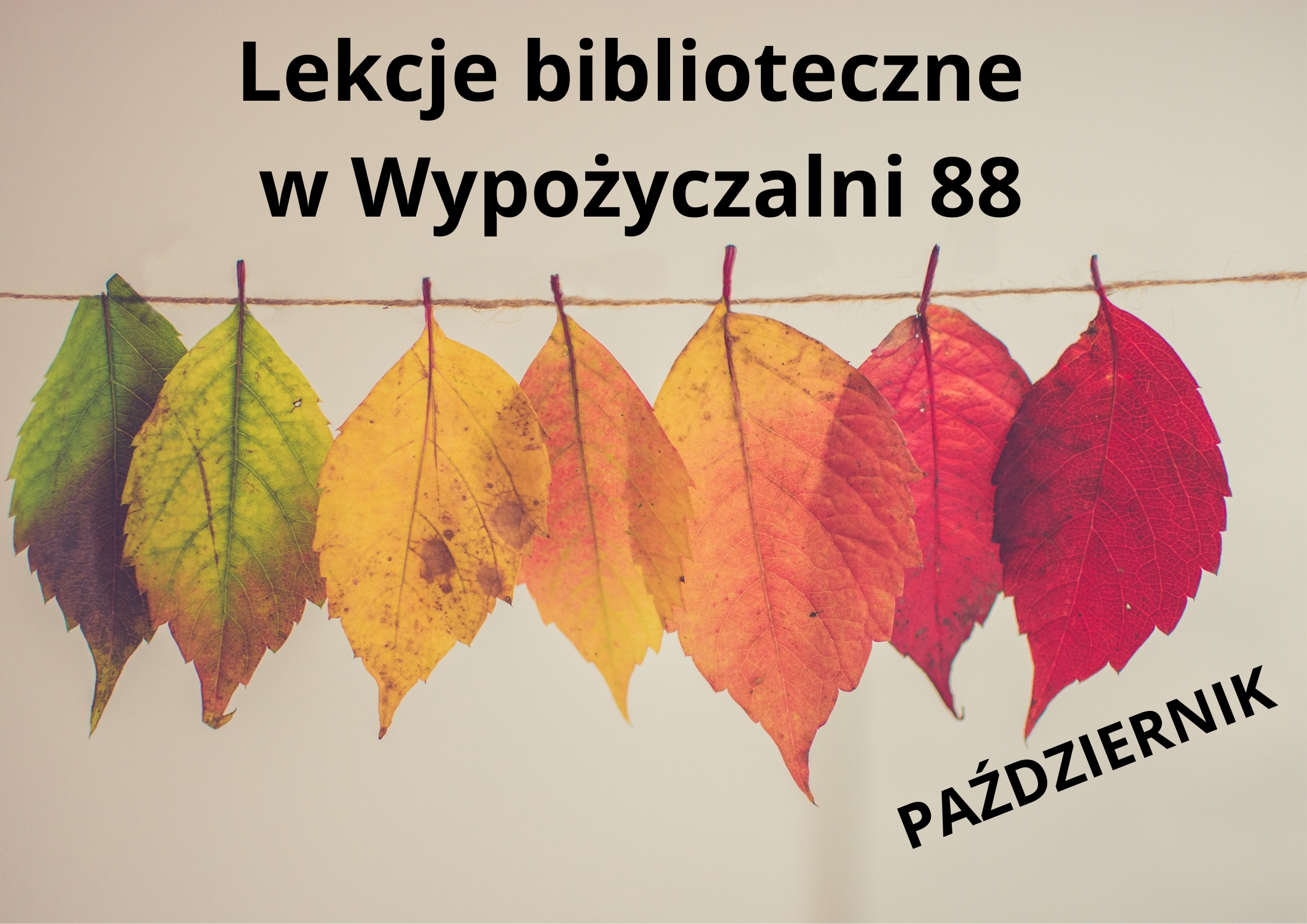 Read more about the article Lekcje biblioteczne w Wypożyczalni 88 – październik