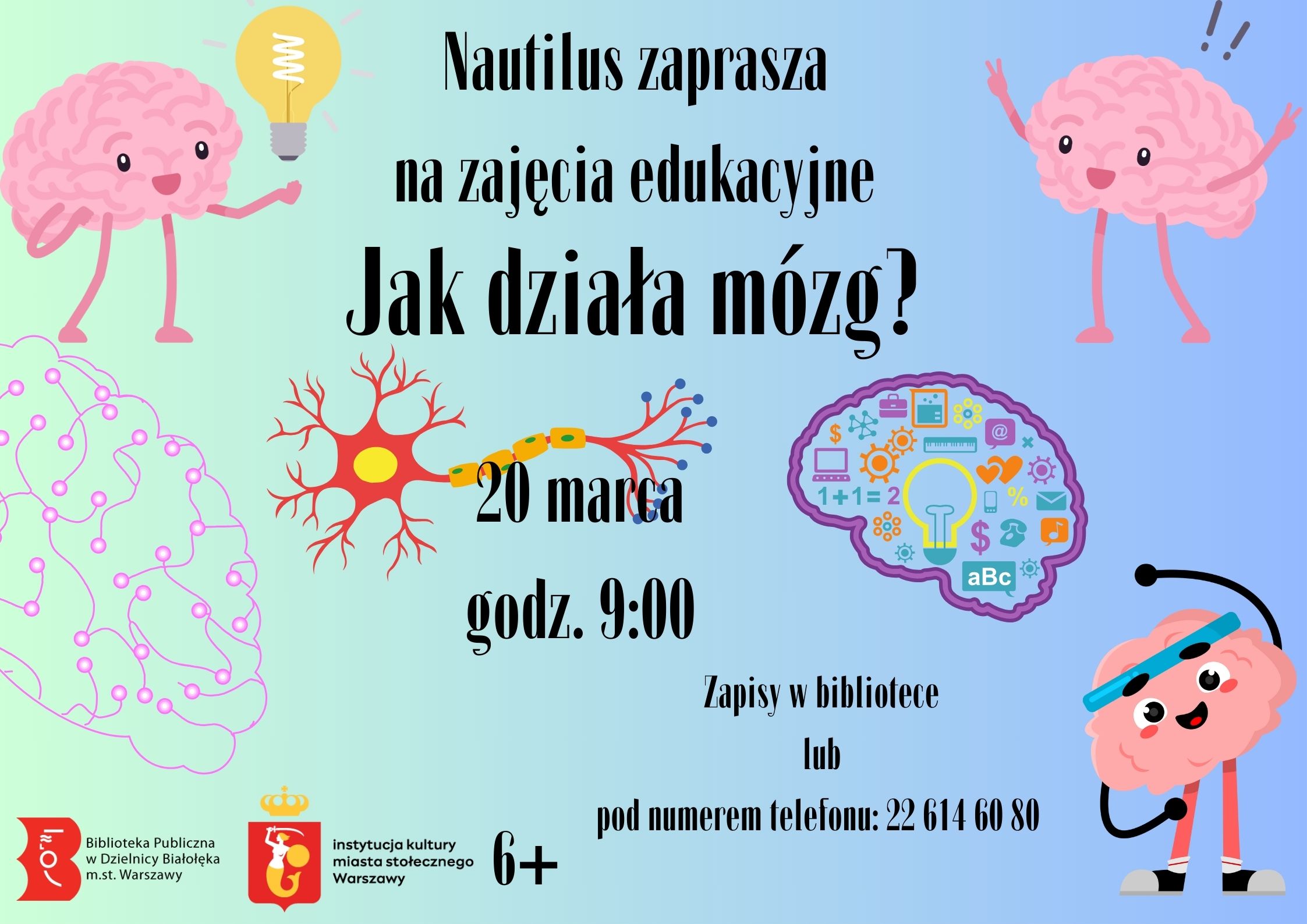 Read more about the article Jak działa mózg? – zajęcia edukacyjne w Nautilusie