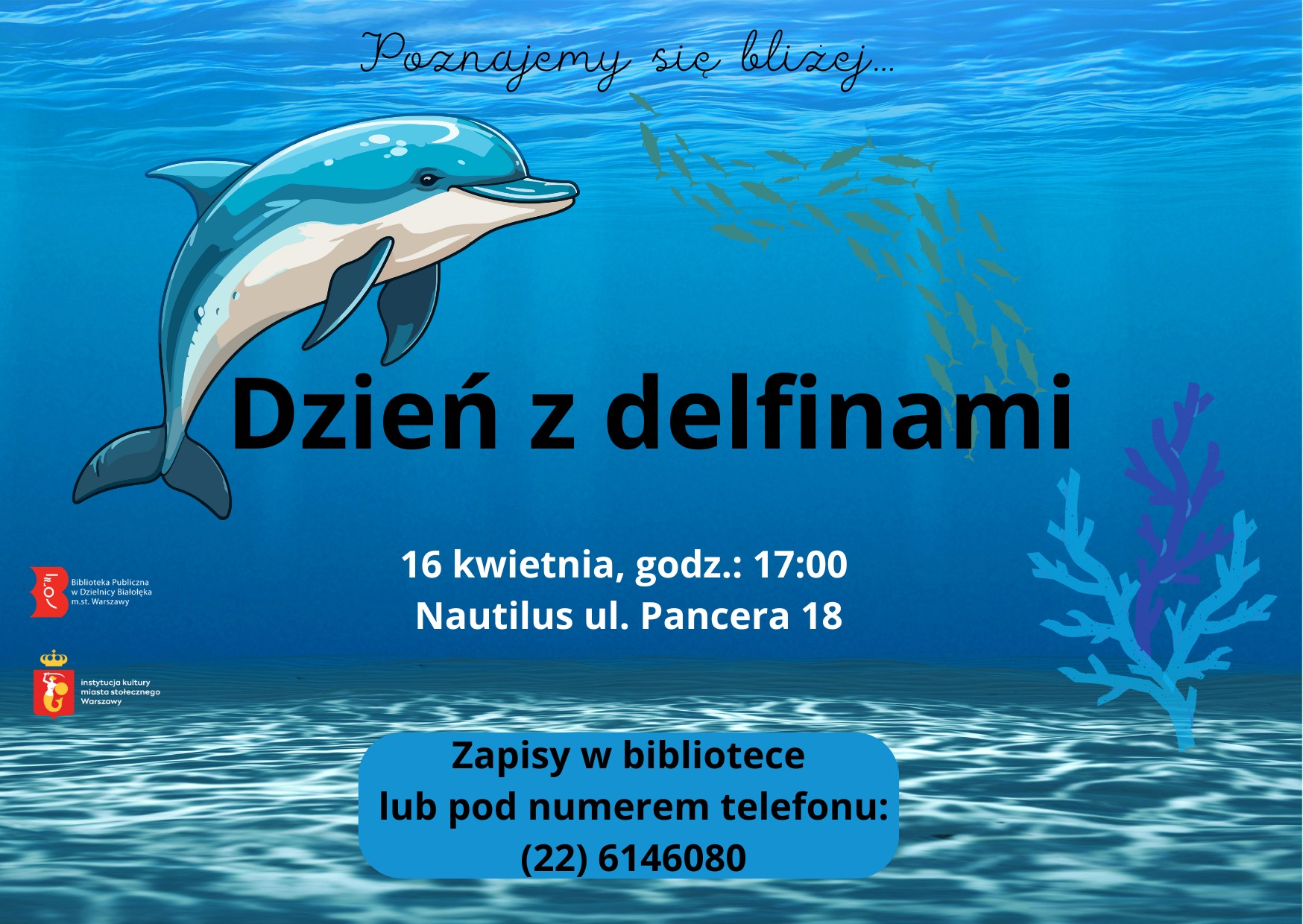 Read more about the article Dzień z delfinami w Nautilusie