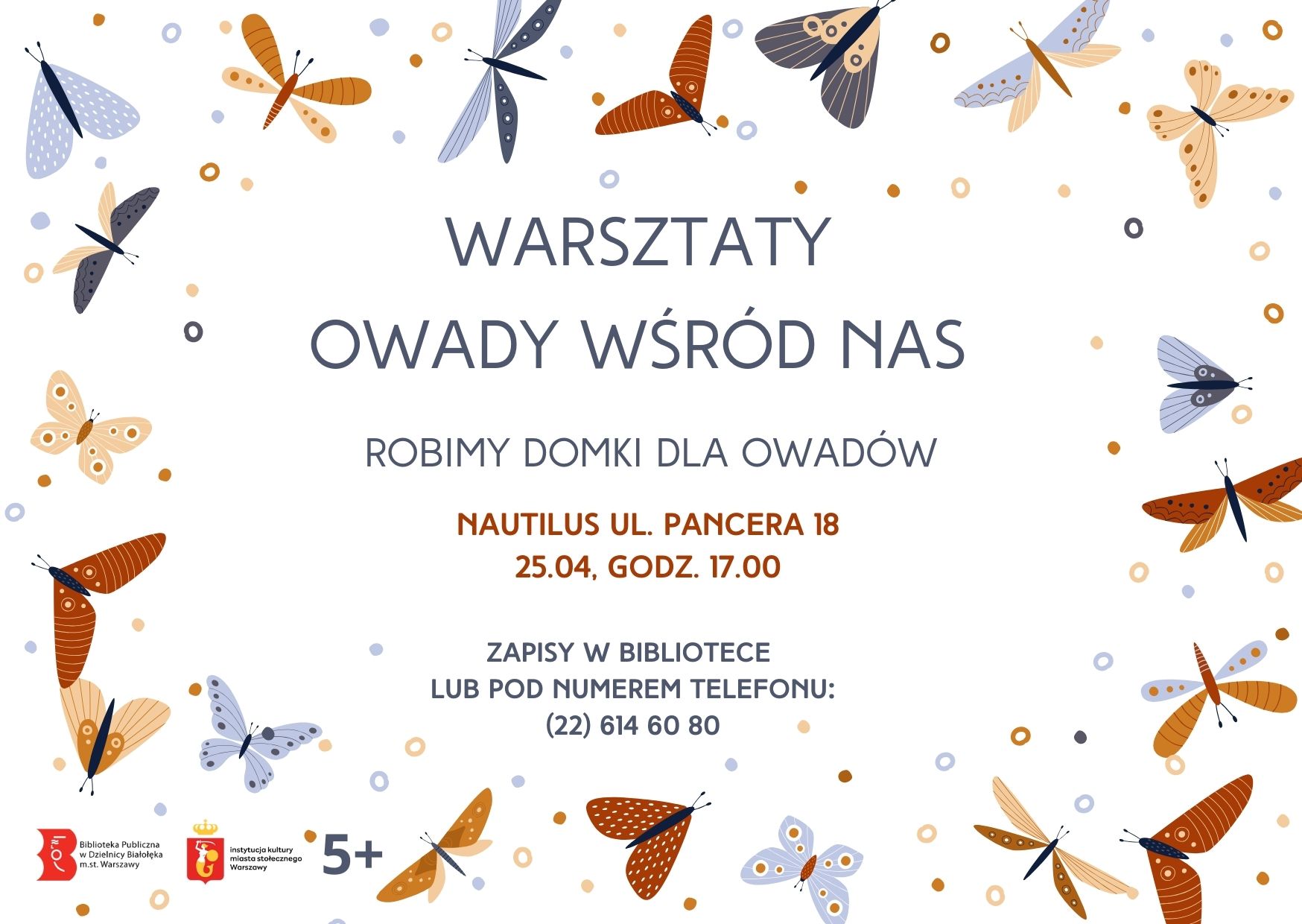 Read more about the article Zapraszamy do Nautilusa! Robimy domki dla owadów!