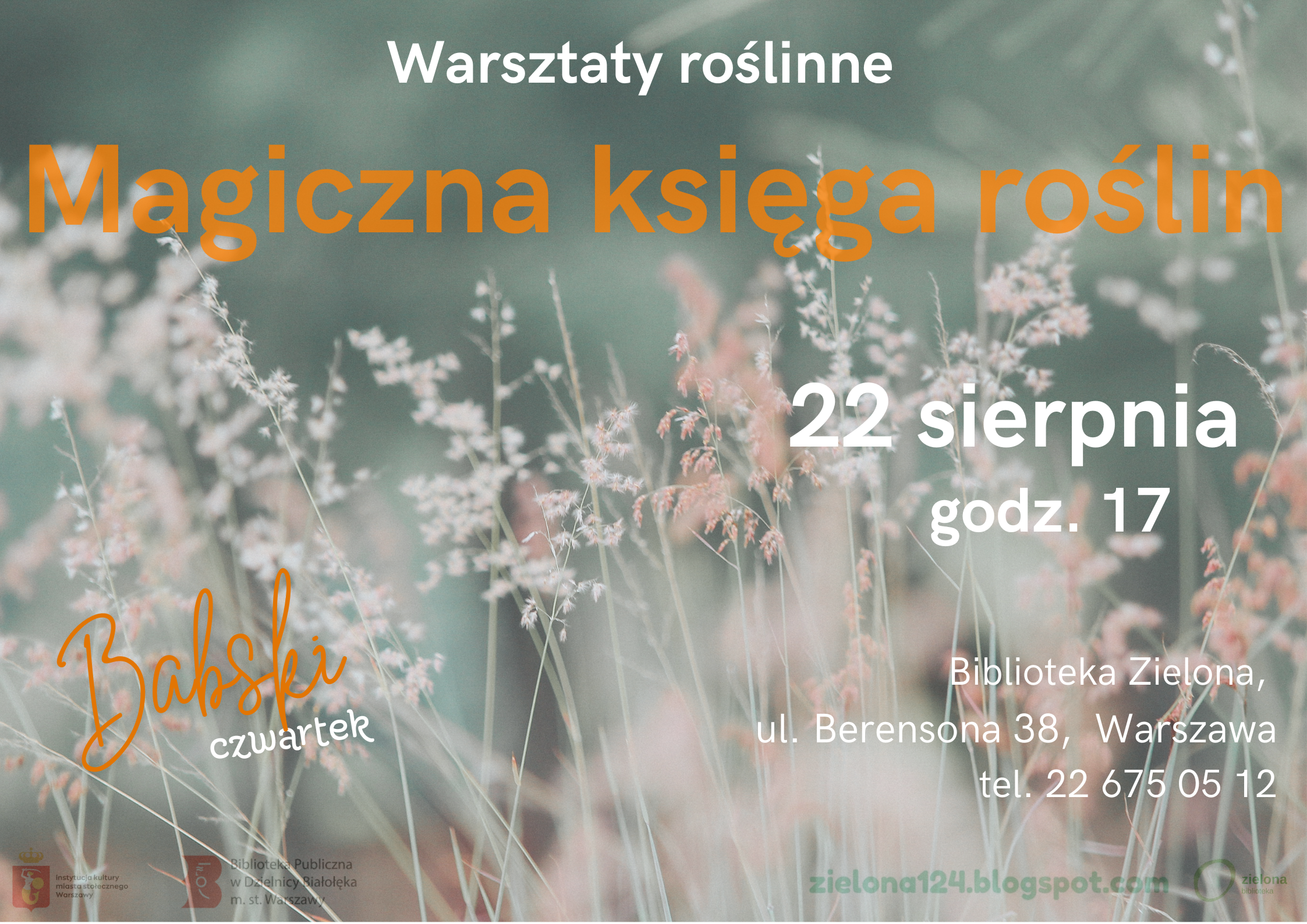 Read more about the article Warsztaty zielnikowe w Bibliotece Zielonej.