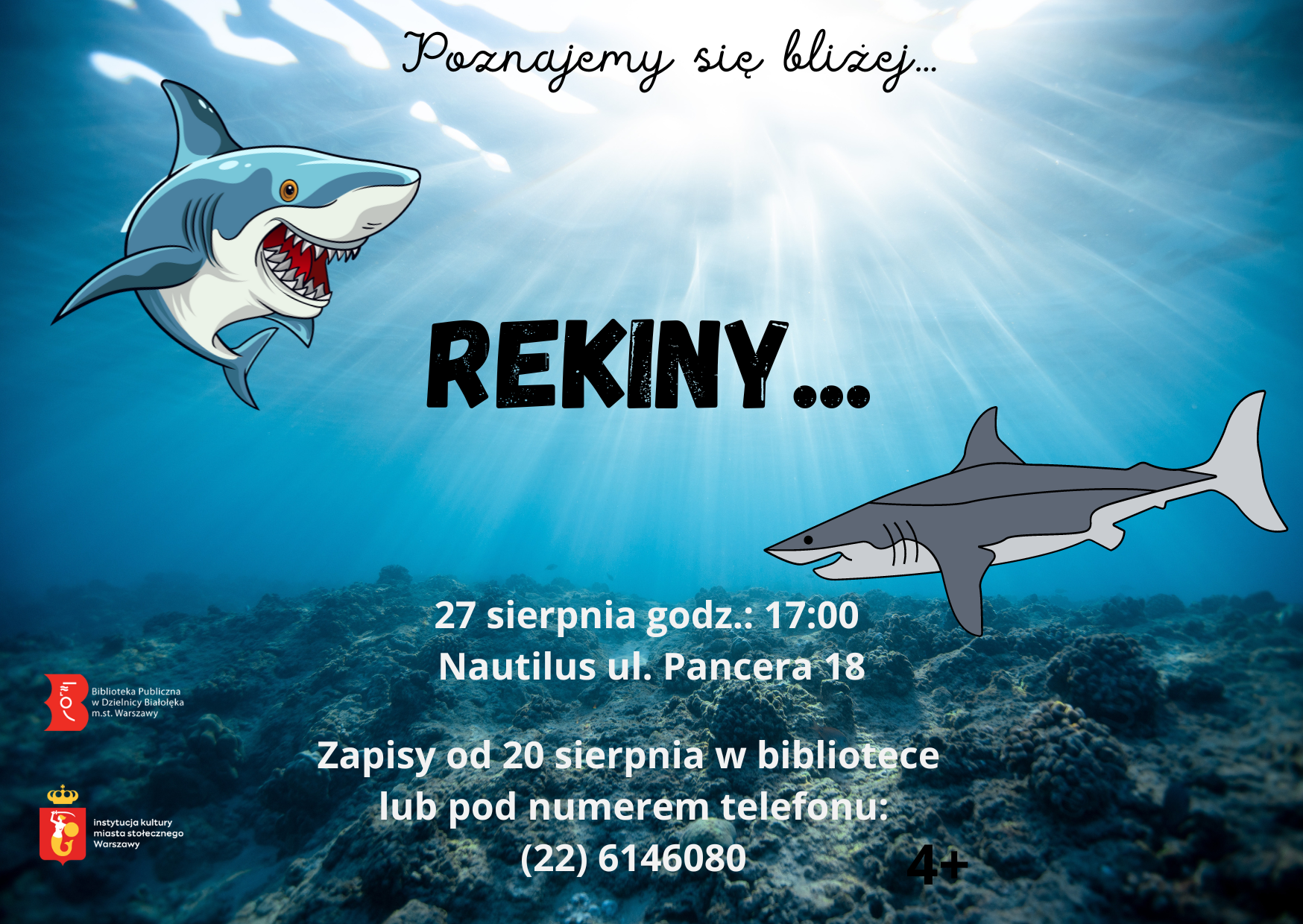 Read more about the article Nautilus Poznajemy się bliżej… REKINY