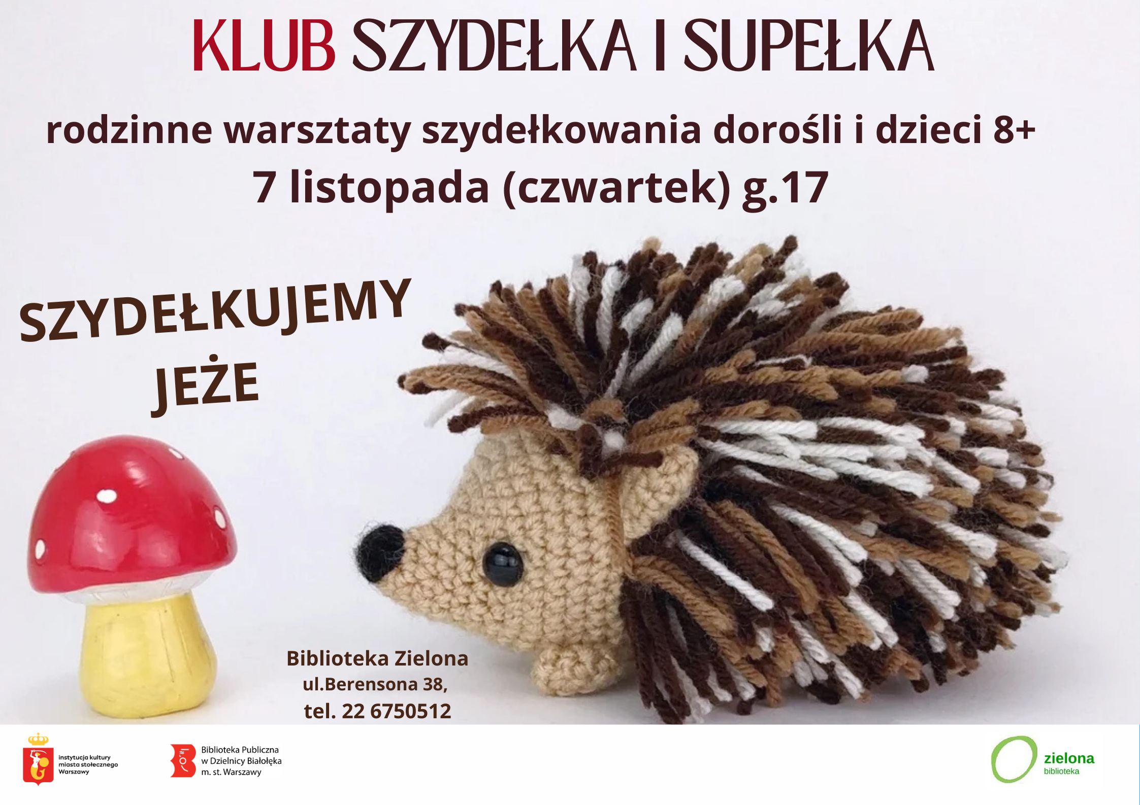 Read more about the article Klub szydełka i supełka w Bibliotece Zielonej.