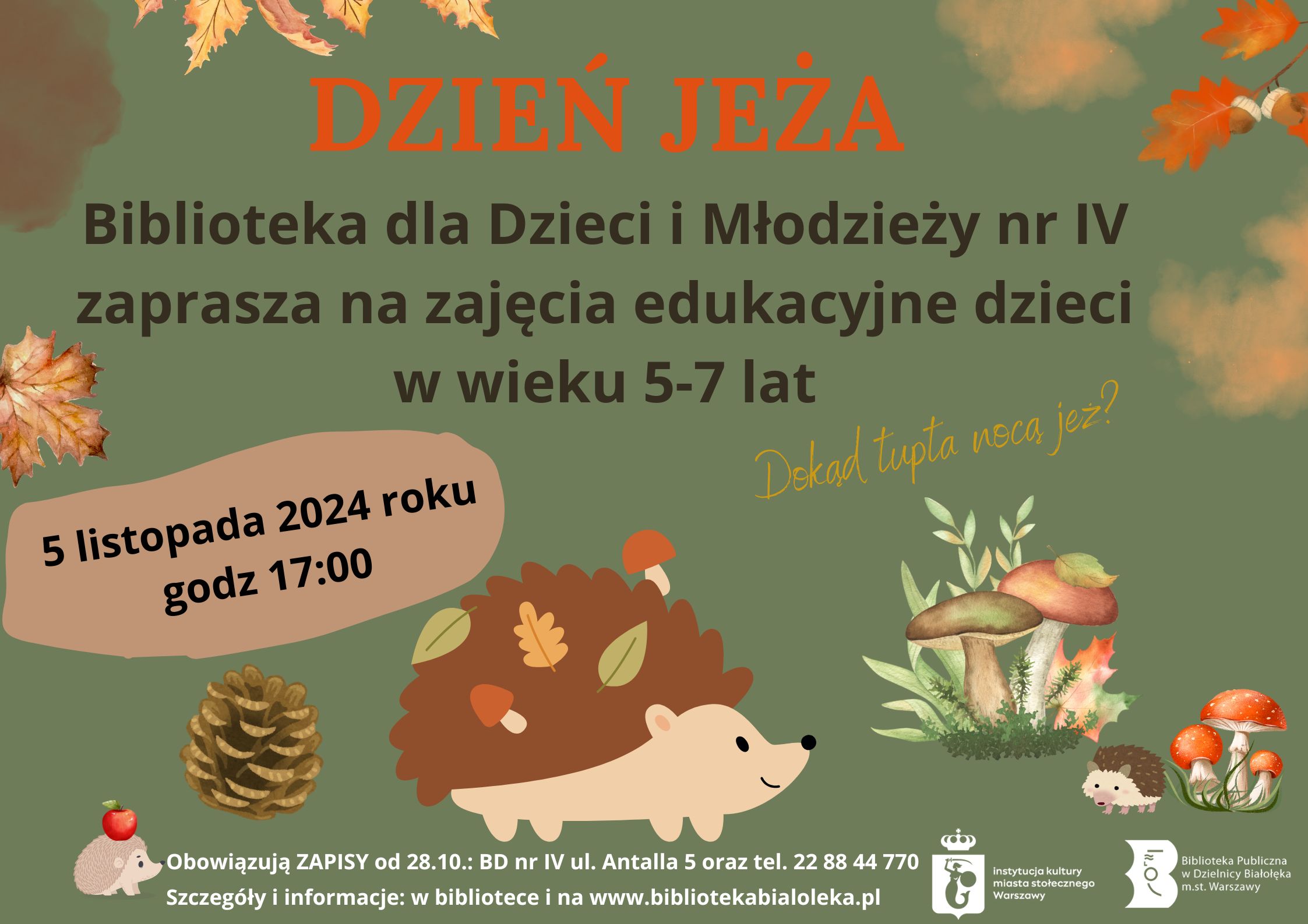 Read more about the article Dzień Jeża w BD IV