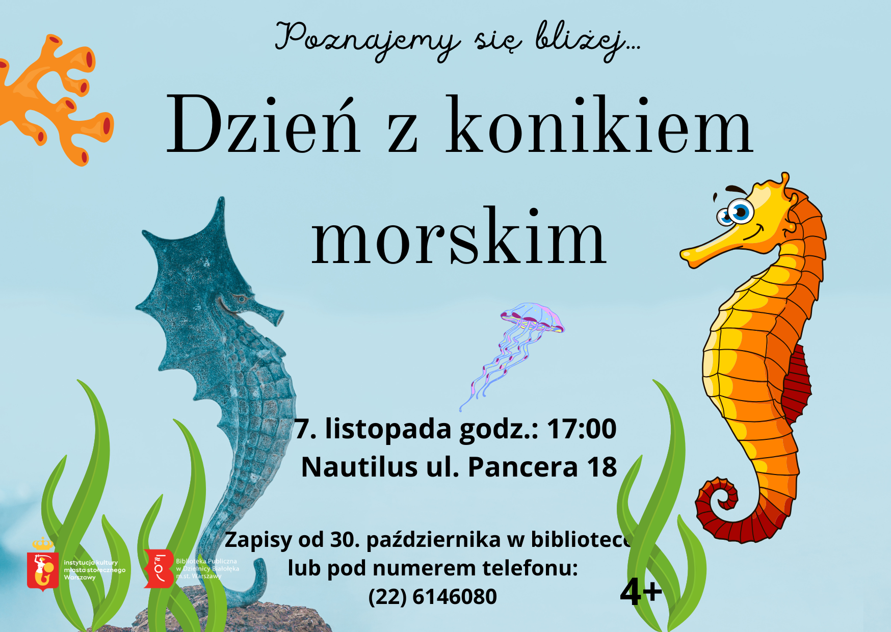 Read more about the article Dzień z konikiem morskim w Nautilusie