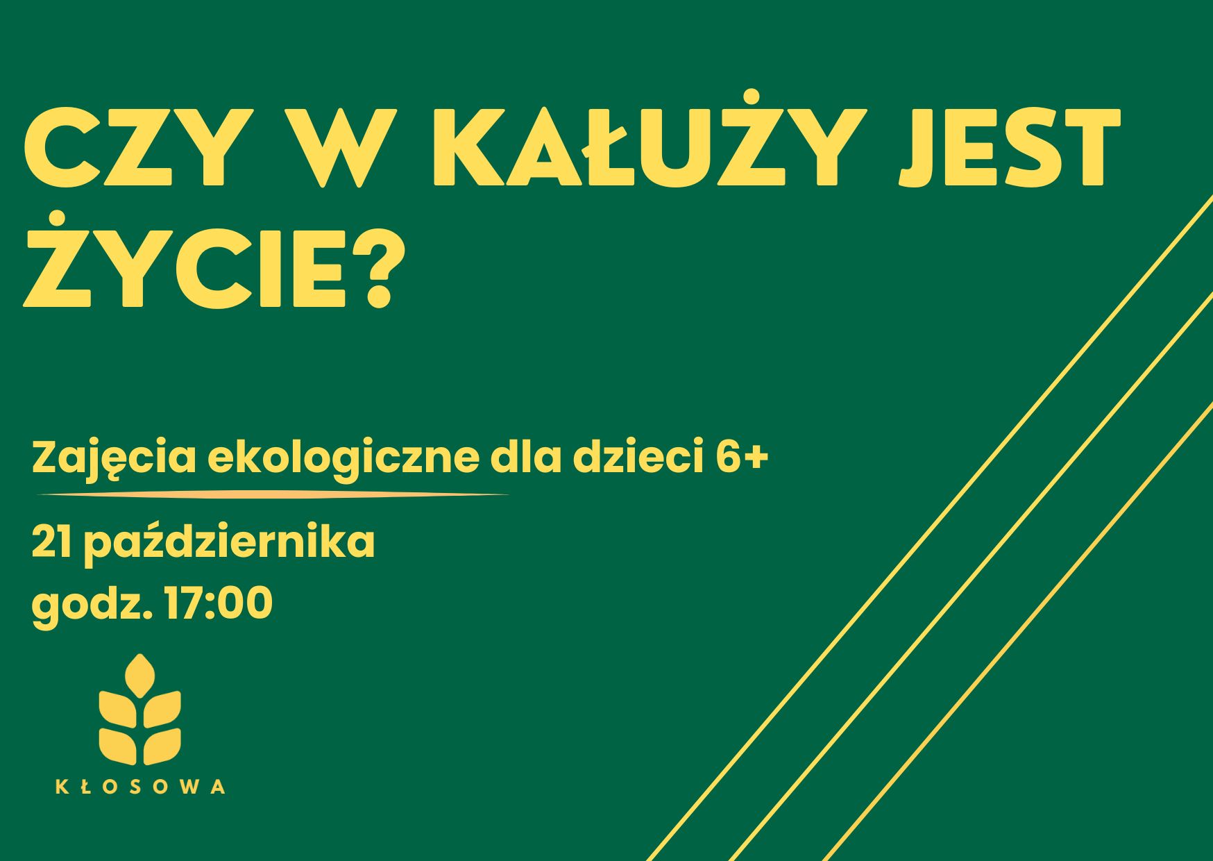 Read more about the article Czy w kałuży jest życie? Warsztaty ekologiczne w Wypożyczalni nr 69.