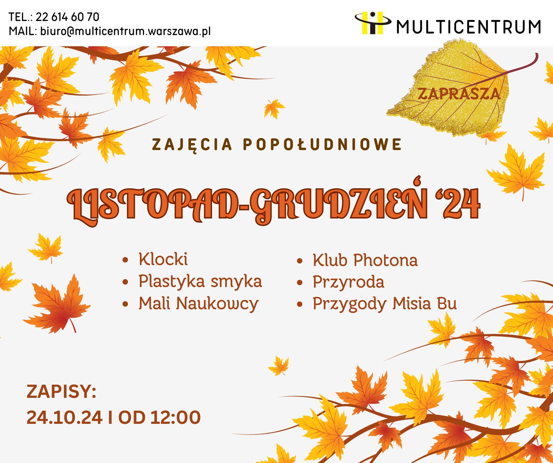 Read more about the article Zapisy na zajęcia popołudniowe: listopad-grudzień 2024
