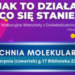 Kuchnia molekularna w Bibliotece Zielonej – warsztaty dla dzieci. 