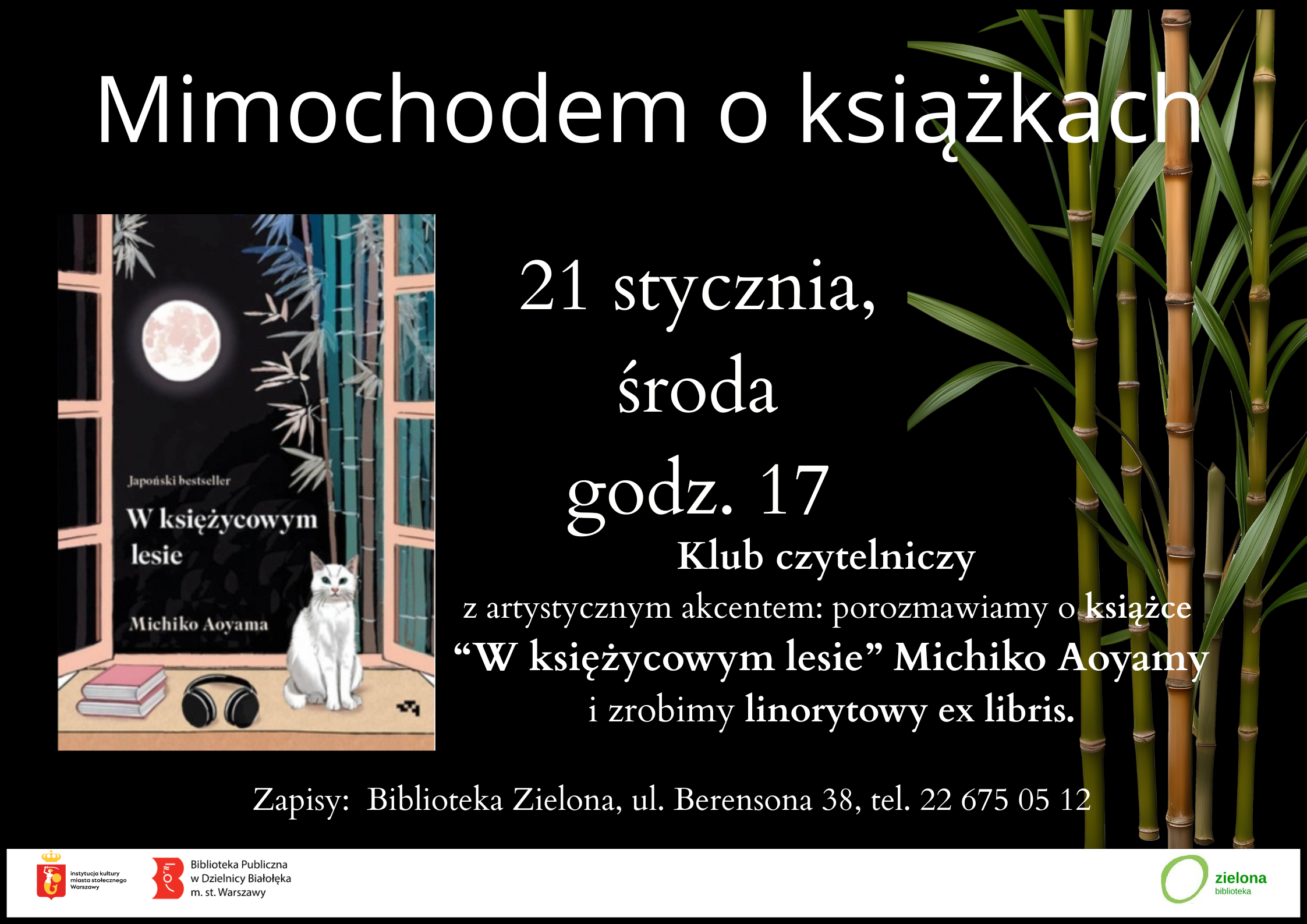 Read more about the article Mimochodem o książkach