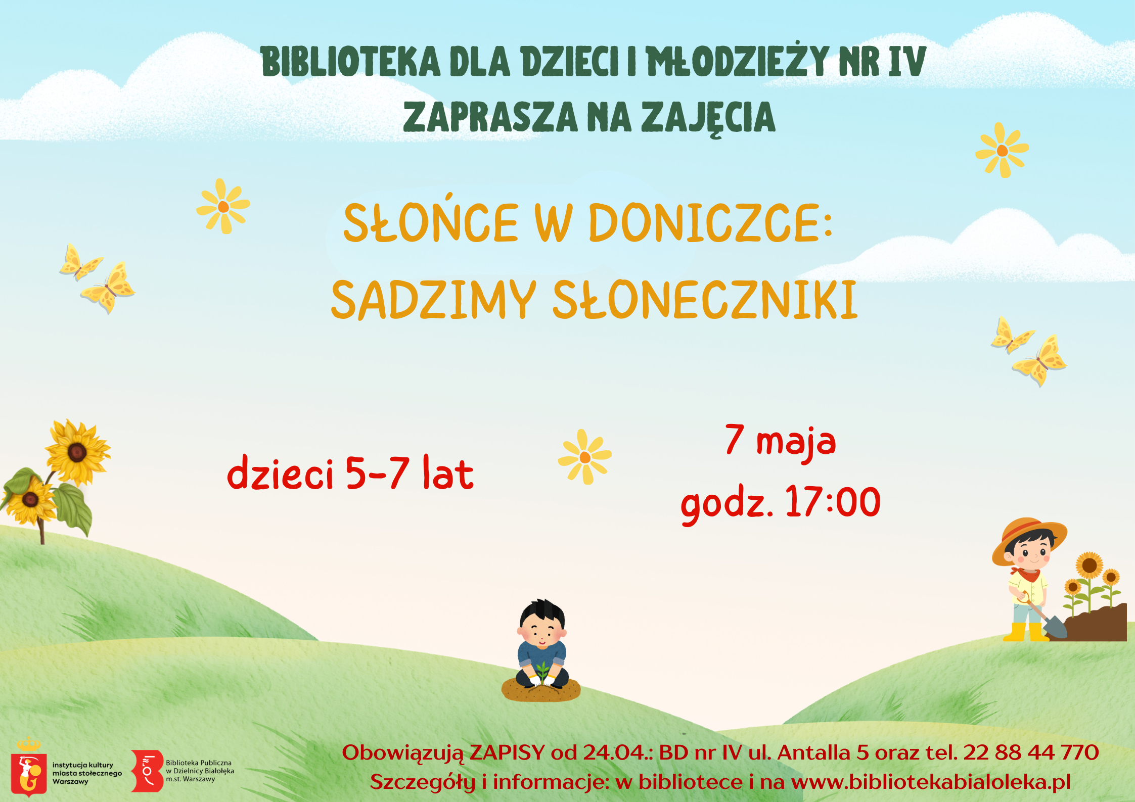 Read more about the article Sadzimy słoneczniki w BD IV