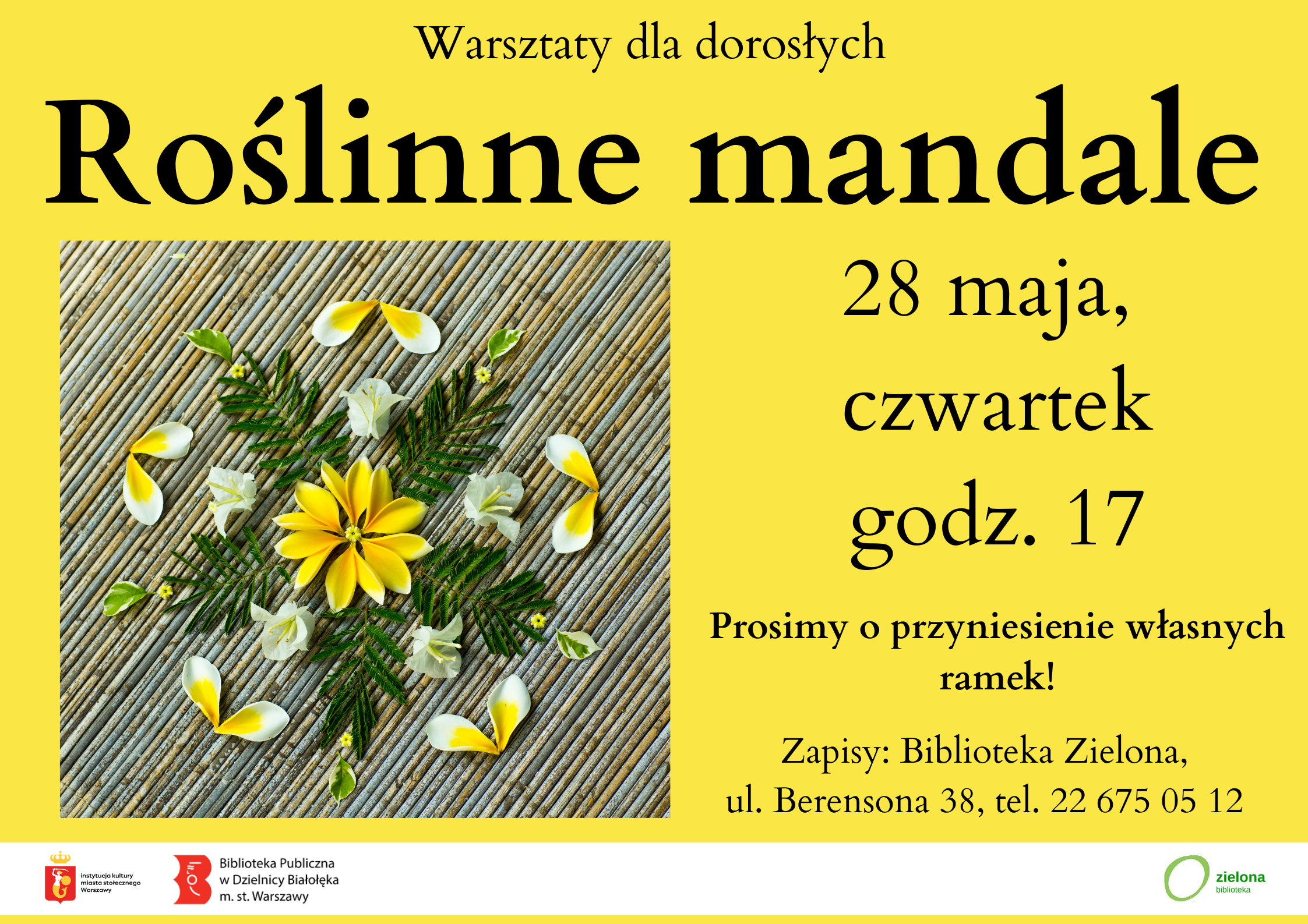 Read more about the article Roślinna mandala w Zielonej